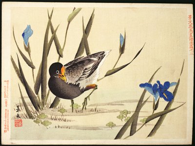 Wader amongst Rushes by Ohara Koson
